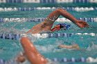 Swim vs Bentley  Wheaton College Swimming & Diving vs Bentley University. - Photo by Keith Nordstrom : Wheaton, Swimming & Diving